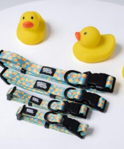 Duck Party - Collar