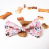 Paw Party - Bow Tie