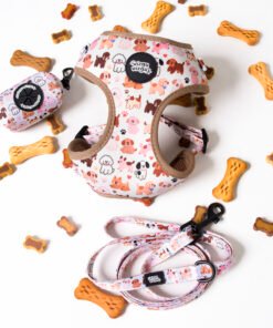 Paw Party - Walk Set