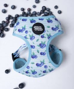 Blueberry Meadow - Harnesses