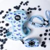 Blueberry Meadow - Walk Set