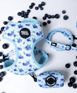 Blueberry Meadow - Walk Set