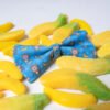 Banana Club - Bow Tie