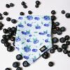 Blueberry Meadow - Bandana