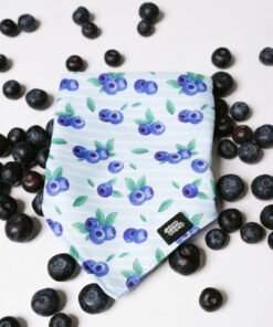 Blueberry Meadow - Bandana