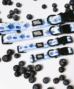 Blueberry Meadow - Collar