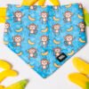 Bananų klubas - Bandana