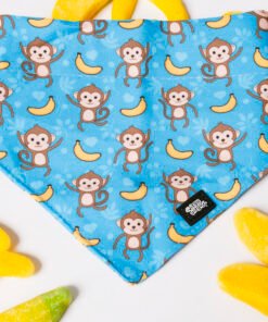 Banana Club - Bandana