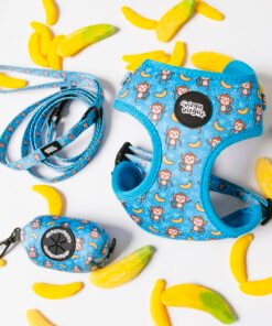 Banana Club - Walk Set