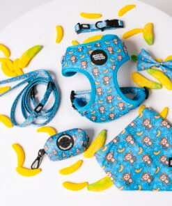 Banana Club - Ultimate Set