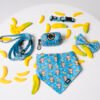 Banana Club - Style Set