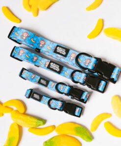 Banana Club - Collar