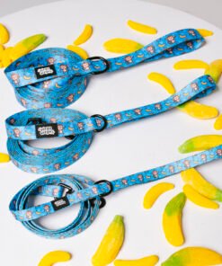 Banana Club - Leash
