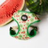 Watermelon Summer - Harnesses