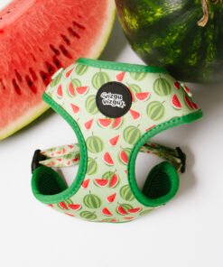 Watermelon Summer - Harnesses