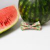Watermelon Summer - Bow Tie