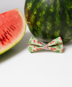 Watermelon Summer - Bow Tie