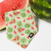 Watermelon Summer - Bandana