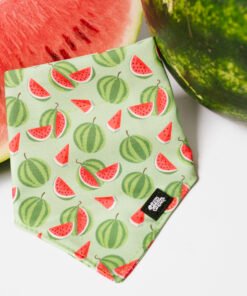 Watermelon Summer - Bandana