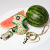 Watermelon Summer - Walk Set