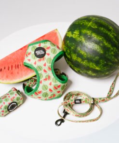 Watermelon Summer - Walk Set