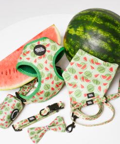 Watermelon Summer - Ultimate Set