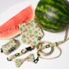 Watermelon Summer - Style Set