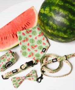 Watermelon Summer - Style Set
