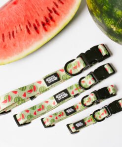 Watermelon Summer - Collar