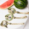 Watermelon Summer - Leash
