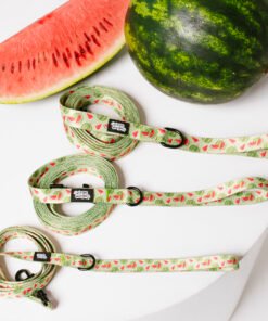 Watermelon Summer - Leash