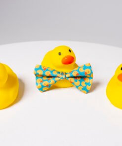 Duck Party - Bow Tie