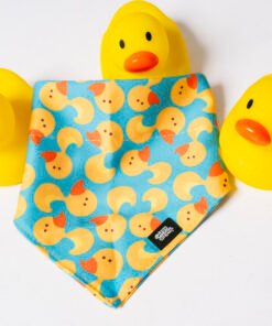 Duck Party - Bandana