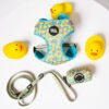 Duck Party - Walk Set
