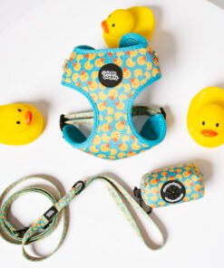 Duck Party - Walk Set