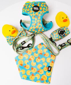 Duck Party - Ultimate Set