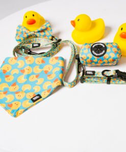 Duck Party - Style Set