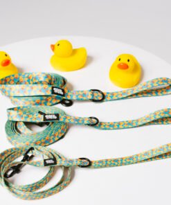Duck Party - Leash