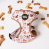Paw Party - Harnesses