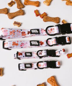 Paw Party - Collar