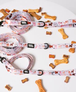 Paw Party - Leash
