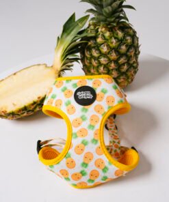 Pineapple Paradise - Harnesses