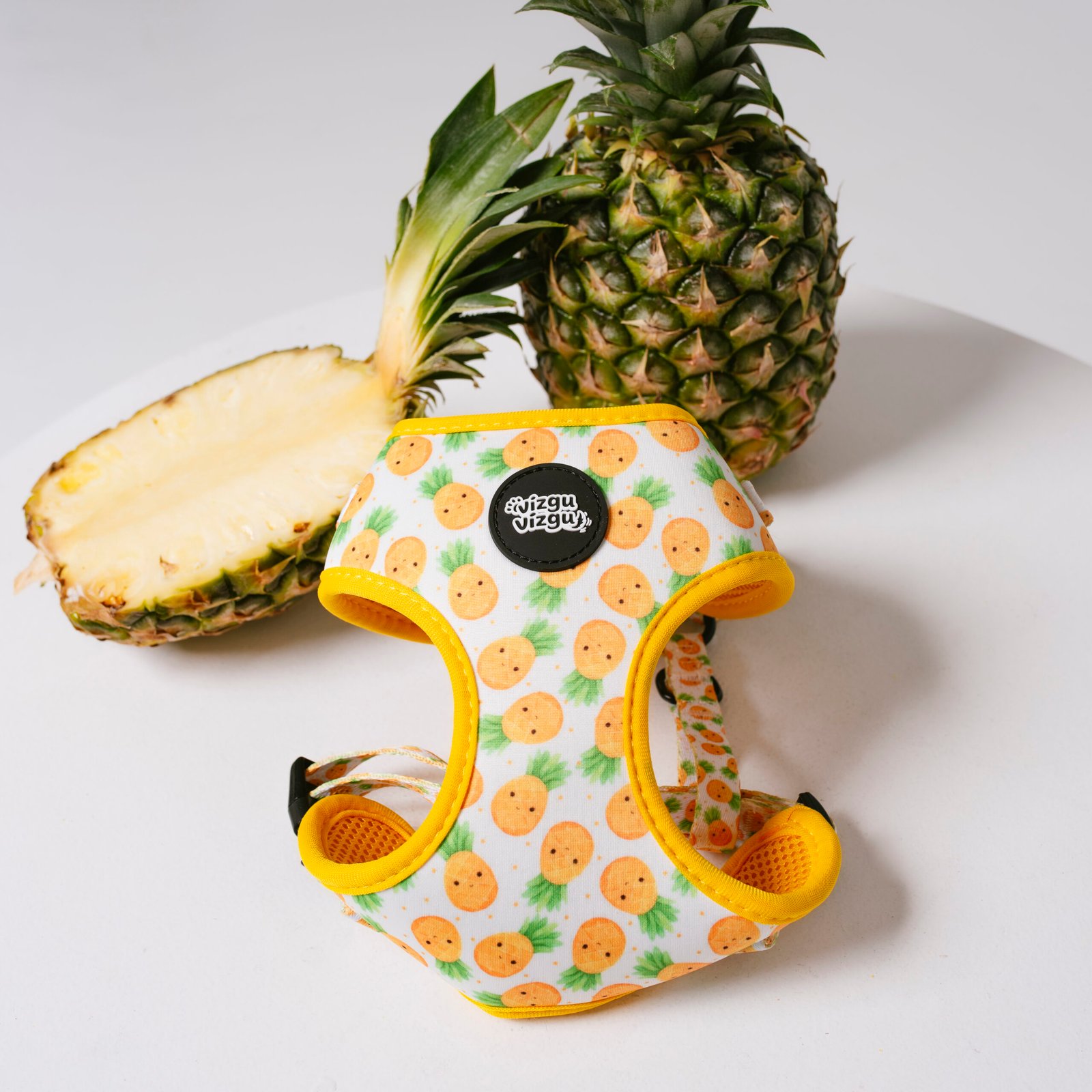 Pineapple Paradise - Harnesses