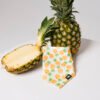 Pineapple Paradise - Bandana
