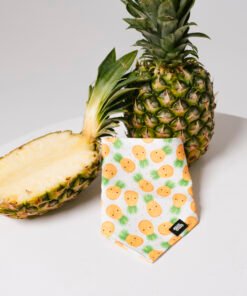 Pineapple Paradise - Bandana