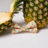 Pineapple Paradise - Bow Tie