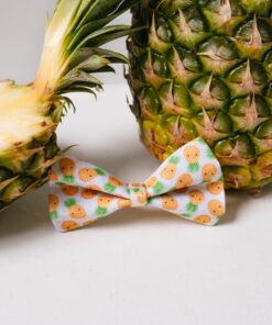 Pineapple Paradise - Bow Tie