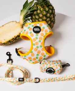 Pineapple Paradise - Walk Set