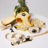 Pineapple Paradise - Ultimate Set