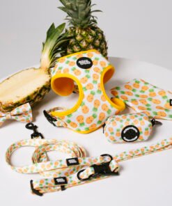 Pineapple Paradise - Ultimate Set